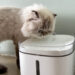 Fontaines à eau connectées pour chats et chiens, comparatif 2025 des meilleurs modèles