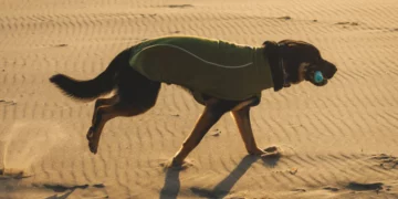 ©Ruffwear