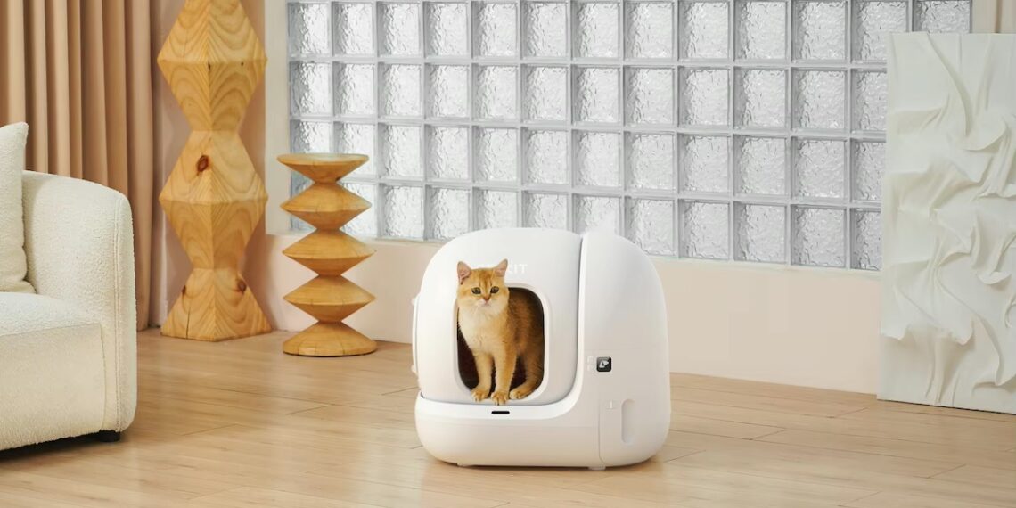 litiere autonettoyante chat