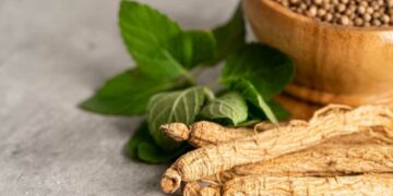 meilleure marque ashwagandha